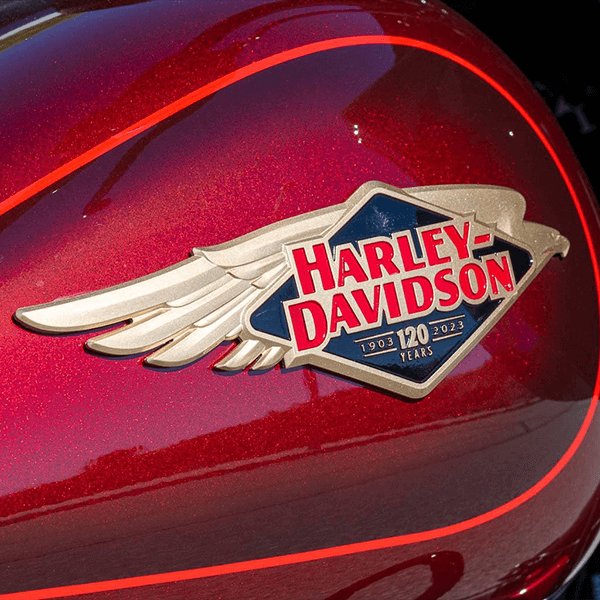 Brushed-stainless-steel-emblem-on-custom-motorcycle-frame